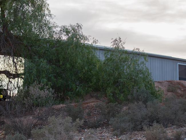 Mr Dillon was found dead inside this shed on his White Cliff’s property.