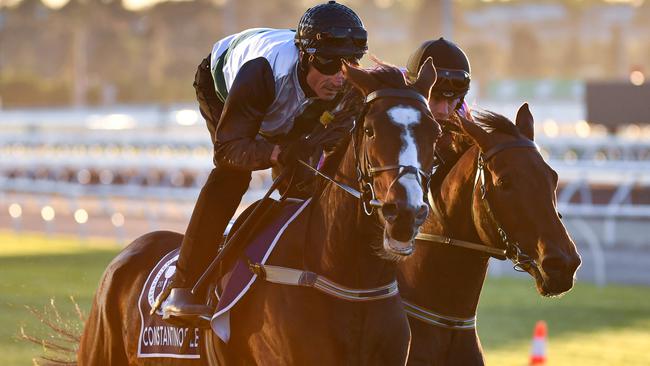 Constantinople is a popular pick in the Melbourne Cup. Picture: AAP