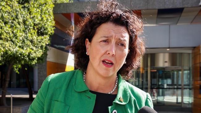 Kooyong MP Monique Ryan. Picture: Ian Currie/NCA NewsWire