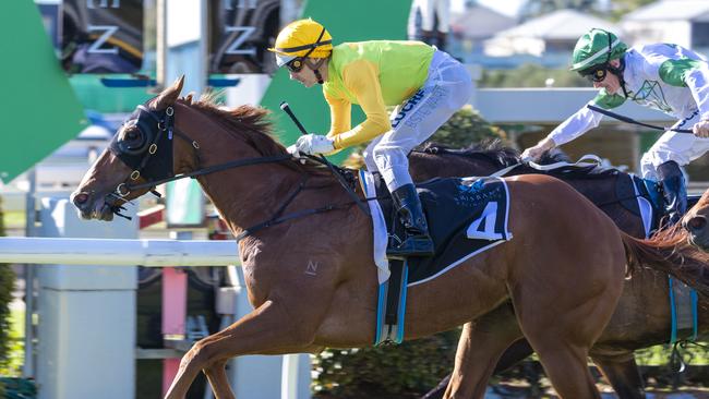 Snitch finds a winnable race at Doomben. Picture: AAP