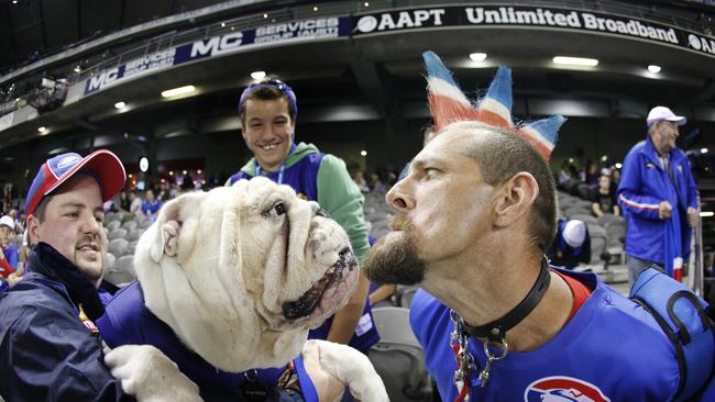 Western Bulldogs fans and the club mascot enjoy a game.