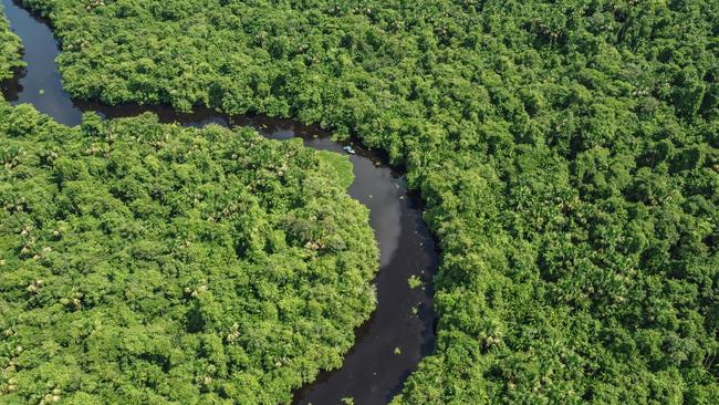 Orinoco River in Venezuela.