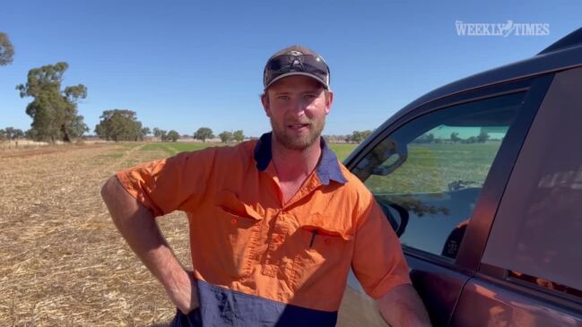 Dan Fox of Marrar talks about his cropping operation