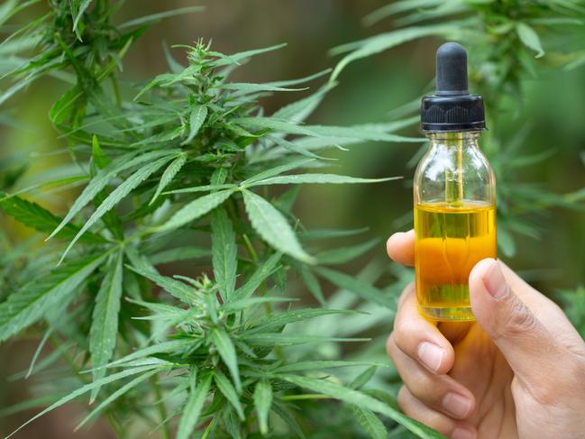 Cannabis meds approved for over counter sale