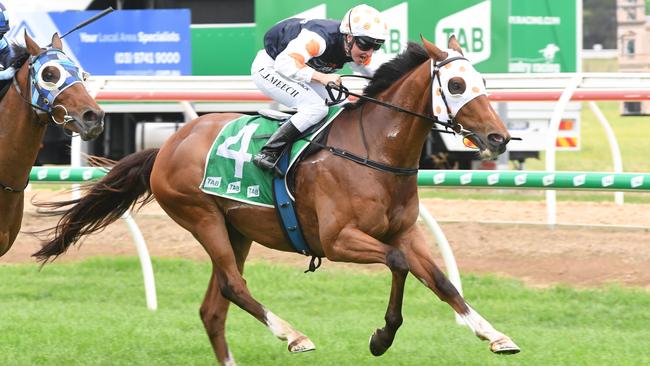 Keats, ridden by Linda Meech, wins the TAB Werribee Cup. Picture: Brett Holburt Racing Photos