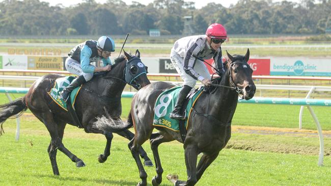 So Sleek was previously trained in Victoria. Picture: Ross Holburt-Racing Photos