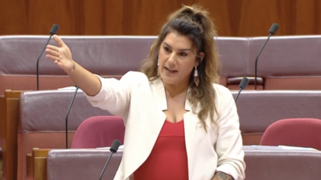 Senator Lidia Thorpe accuses Liberal Senator Hollie Hughes of racism