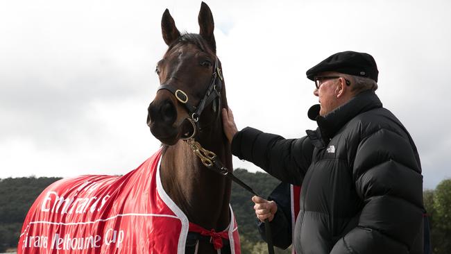 2016 Emirates Melbourne Cup winning horse Almandin with owner Lloyd Williams. Please credit Karon Photography.