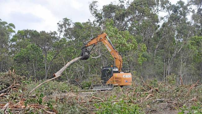 Diggers are pulling up established trees that have been home to native animals and birds. Picture: Trish Bowman