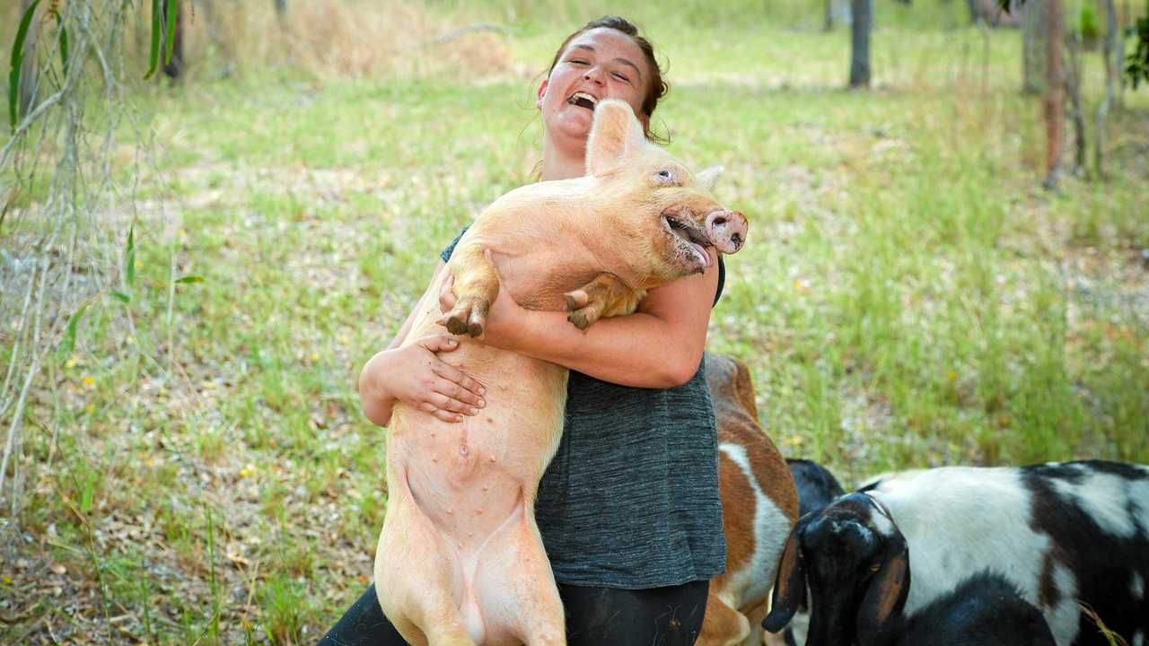 Kristi Campbell has recently moved into the region with around 80 rescue animals. Picture: Mike Richards GLA291216ANIMALS