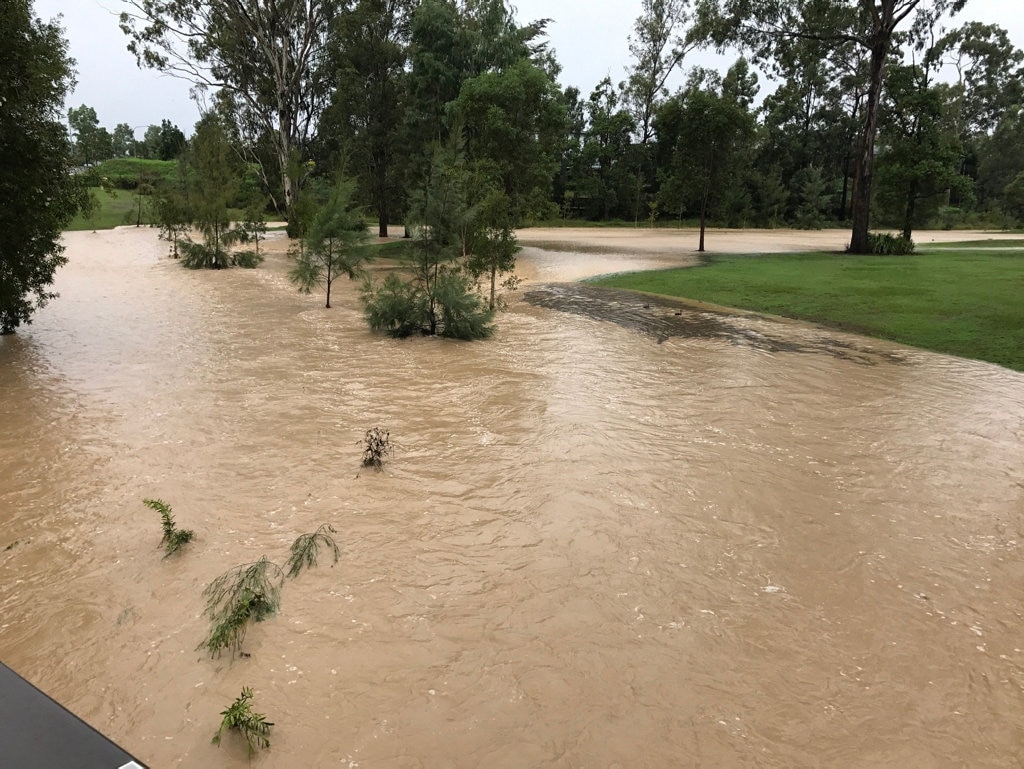 Bellbird Park. Picture: Paul Tully