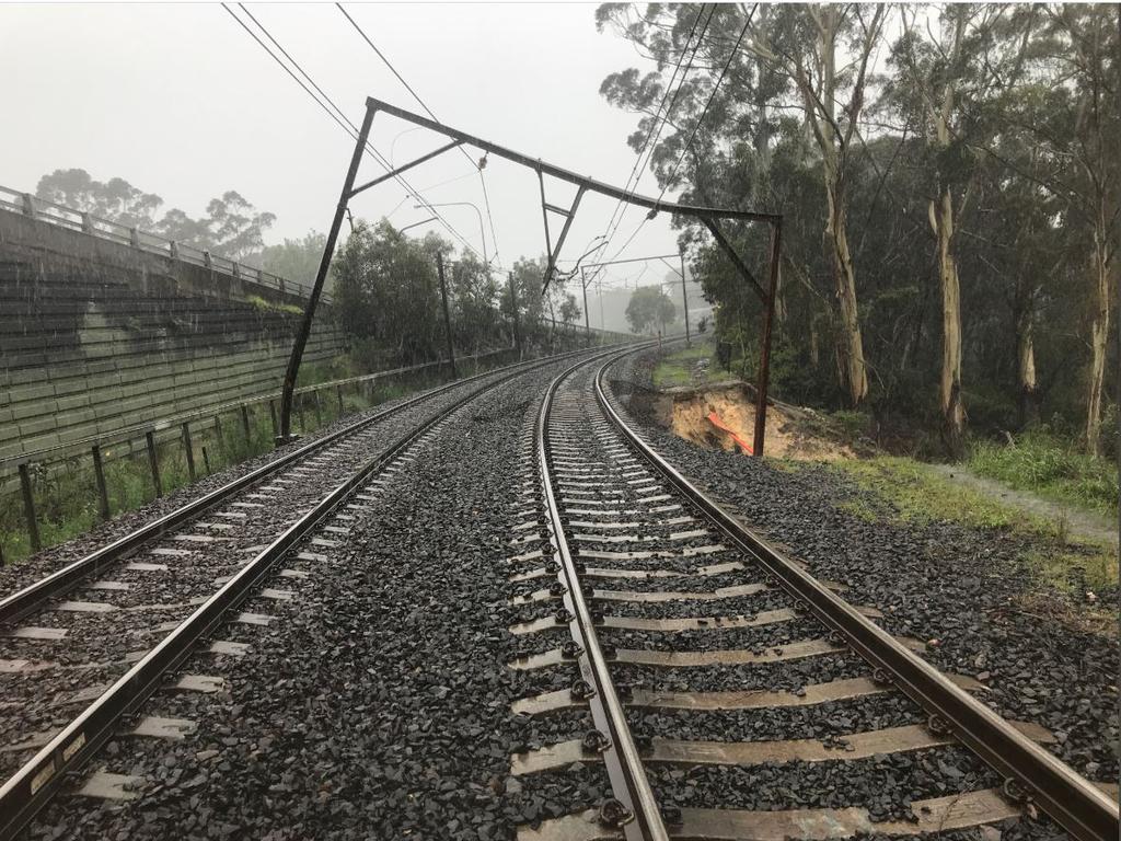 A tree has affected overhead wiring at Blackheath in the Blue Mountains. Picture: Twitter.