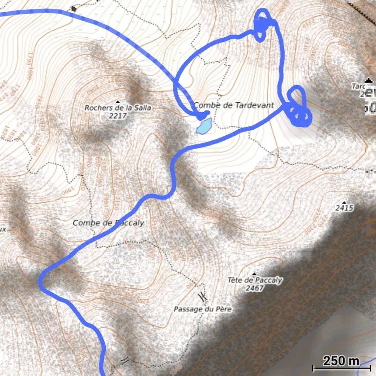 Track of the crash and medevac. Picture: Instagram/nneynens