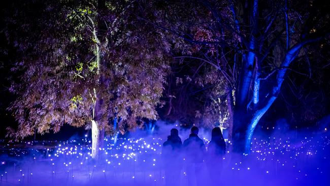 Light Cycles at Illuminate Adelaide. Picture: Moment Factory, Tyr Liang