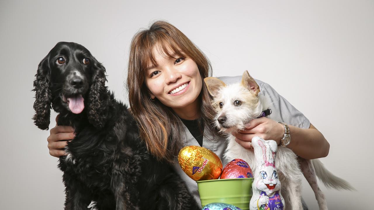 Emergency vet Dernise Goh with Beany and Yoshi. Dogs should never eat chocolate. Picture: Wayne Taylor