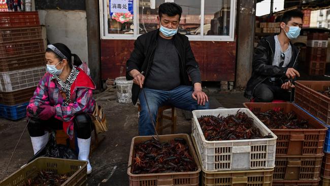 China's "wet" markets have gained a bad international reputation as the coronavirus roiling the world is believed to have been born in stalls selling live game in Wuhan. Picture: Hector Retamal/AFP