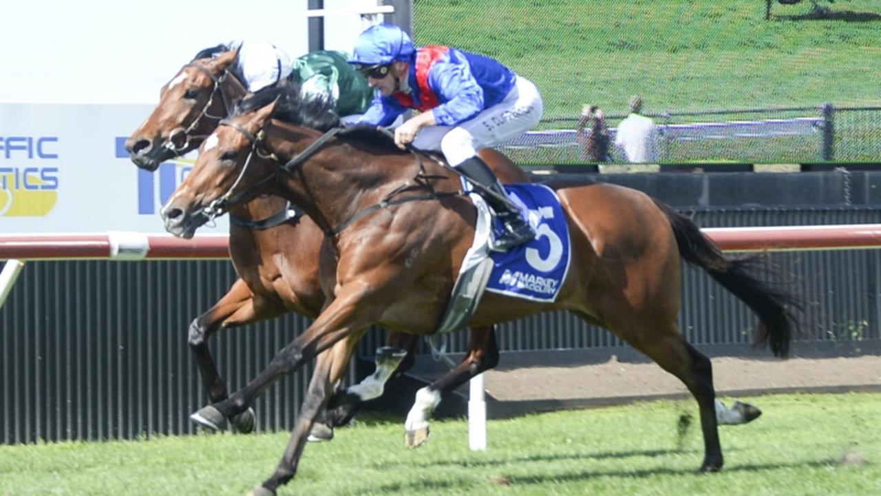 Kenmare Bay looks well placed stepping up to the mile at Wyong. Picture: Bradley Photos