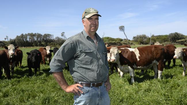 Brad and Irene Gale run a cattle operation at Waratah Bay. They won the JBS Australia beef producer of the year title this year. Focus. Brad Gale. Steers, Angus, Hererford, Shorthorn, composite.