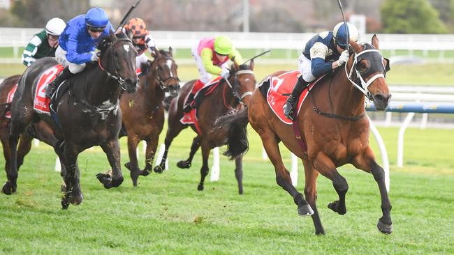 Buckaroo surges clear to win the Group 1 Underwood Stakes at Caulfield. Picture: Pat Scala/Racing Photos via Getty Images