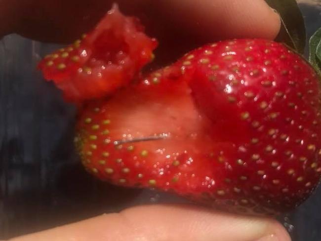 There have been more than 100 reports of needles found in strawberries and other fruit across Australia.