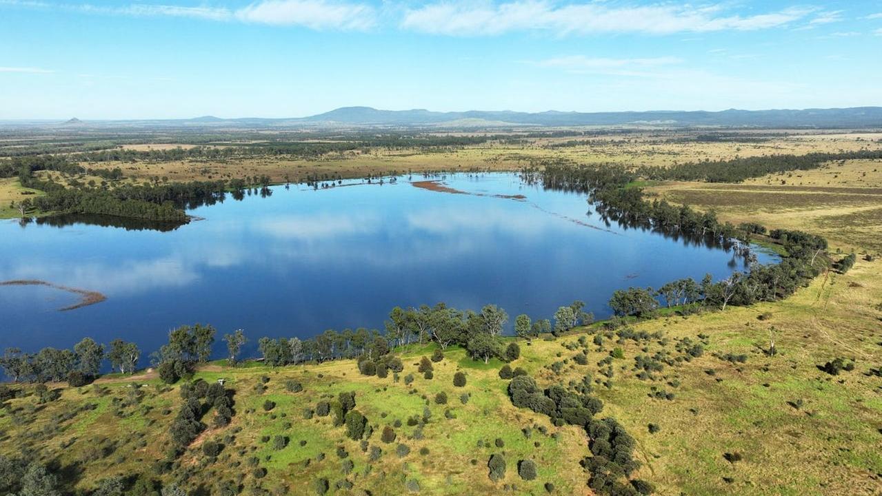 Queensland cattle farms fetch $110 million at auction