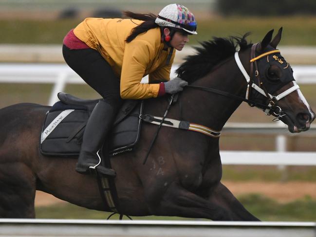 CRANBOURNE, AUSTRALIA - NOVEMBER 02:  Natalie Young who trains with partner Trent Bussuttin is seen riding Main Stage at Cranbourne Turf Club on November 2, 2017 in Cranbourne, Australia. Main Stage is one of the favourites for Saturdays Victoria Derby at Flemington.  (Photo by Vince Caligiuri/Getty Images)