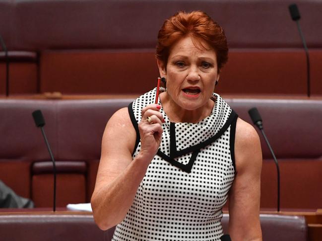 One Nation leader Senator Pauline Hanson speaks in the Senate chamber at Parliament House in Canberra, February, Wednesday 12, 2020. (AAP Image/Mick Tsikas) NO ARCHIVING