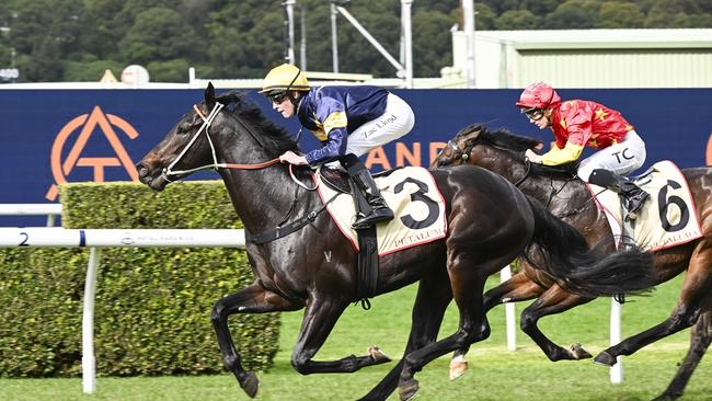 Brave One, pictured winning at Randwick last year, is one of Dylan Gibbons' best rides at Rosehill Gardens on Saturday. Picture: Bradley Photos