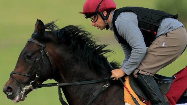 Ten Sovereigns’ Everest hopes hinge on a dry track at Randwick. Picture: Getty Images