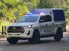 Vandals target almost 20 cars in overnight crime spree