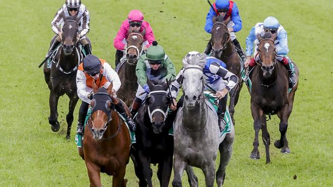 SYDNEY, AUSTRALIA - OCTOBER 01: Hugh Bowman on Top Ranked (grey horse) and Brenton Avdulla (orange) on Ellsberg are declared a dead heat in race 8 the Tab Epsom during Sydney Racing at Royal Randwick Racecourse on October 01, 2022 in Sydney, Australia. (Photo by Jenny Evans/Getty Images)