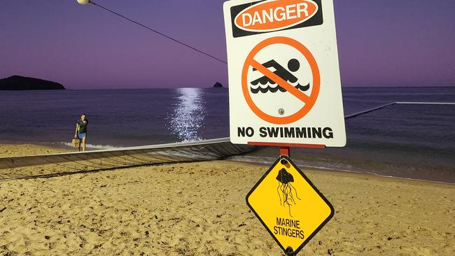 With stinger season upon us; from this week till May marine stinger swimming enclosures will be installed at around 30 locations in the north of the state. Photo: Ross Palm.