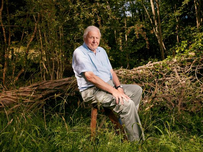 Sir David Attenborough sits on a stool in the grounds where Charles Darwin wrote Origin of the Species. Picture: Mark Harrison