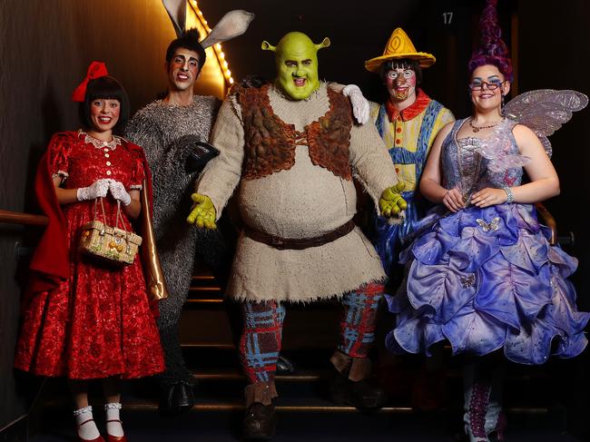 The cast is transformed into (from left) Red Riding Hood, Donkey, Shrek, Pinocchio and Fairy Godmother. Picture: Sam Ruttyn