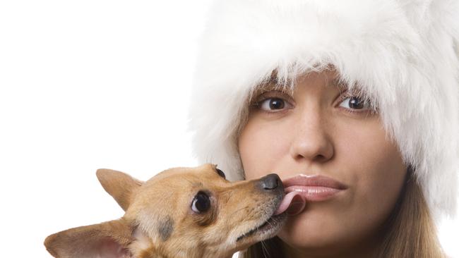 Please don’t let your dog lick your face.