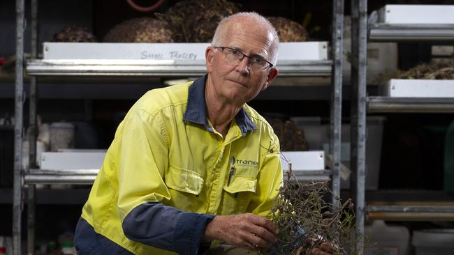 Senior Peter Grose at his Perth business on Tuesday. Picture: Marie Nirme