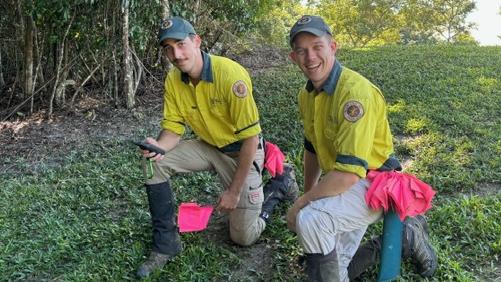 Field officer Jay Edwards and field supervisor Lachlan O'Brian work on the Yellow Crazy Ant Eradication Program. Photo: Dylan Nicholson