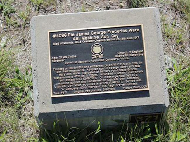 Private James Ware’s plaque on the Soldiers' Memorial Avenue in Hobart.