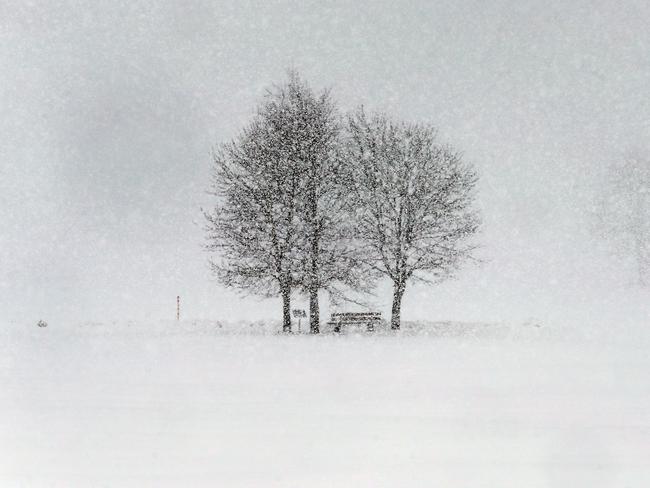 Snow falls on a bench and trees standing near Ruderatshofen, southern Germany, on January 15, 2017. Picture: AFP