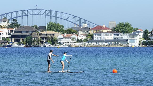 Paddle boarders make use of the still waters at Rose Bay. Picture: John Appleyard