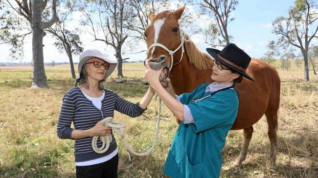 Local vet Louisa Poutsma wants more people talking about vets mental health.