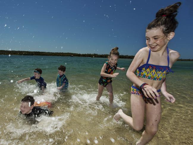 Great weather at Noosaville. Cooper Levis, 5, Billy Levis, 3, Angus Broad, 9 (front), Annabelle Broad, 6 (back), Cailin Levis, 8 (all from Melbourne). mum is Mel Levis 0410341491. Pic Mark Cranitch.