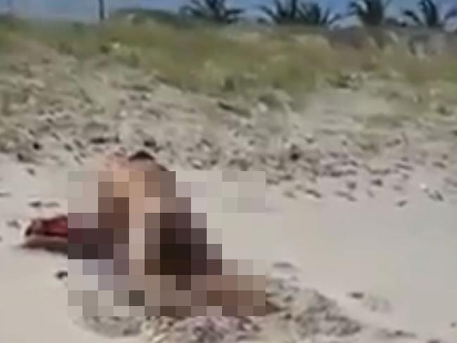 Couple having sex on the beach. Picture: Live Leak