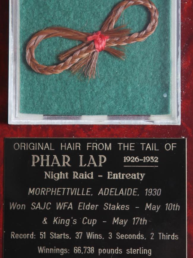 A lock of hair from Phar Lap groomed out when the horse was in Adelaide for the 1930 Adelaide Cup.