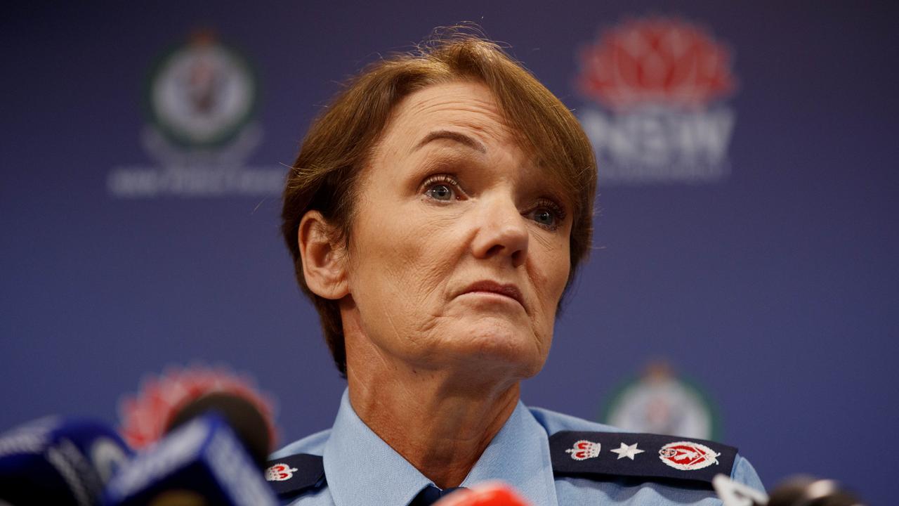 Ex-top cop Karen Webb’s short term DV appointment criticised