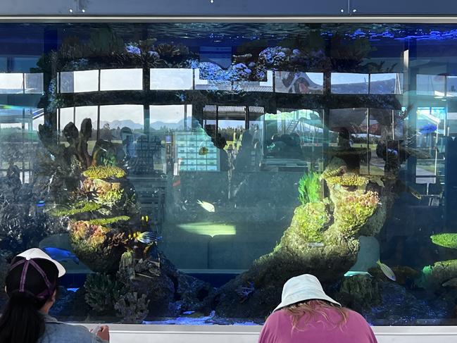 Passengers were happy to see the Heart Reef aquarium at Whitsunday Airport when they touched down. Picture: Katrina Lezaic