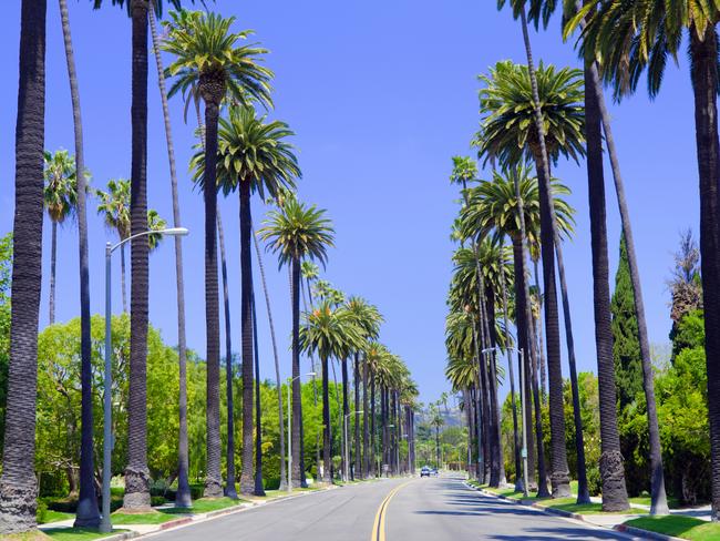 ESCAPE:  A residential street with palm trees in Los Angeles County.  Picture: Istock