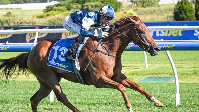 Jimmysstar earned an All-Star Mile wildcard with his dominant first-up win at Caulfield on February 3. Picture: Racing Photos via Getty Images