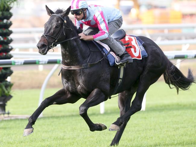 Stradbroke favourite Azkadellia trials on the course proper at Eagle Farm. Picture: Jono Searle