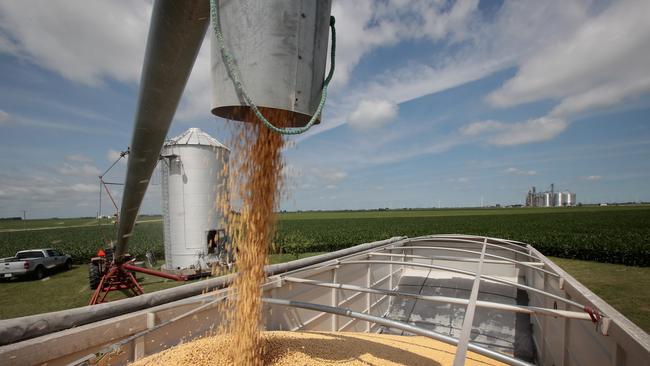 Farmer John Duffy loads soybeans from his grain bin onto a truck before taking them to a grain elevator in Dwight, Illinois. Picture: AFP